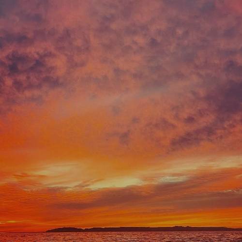  میگیره شب سر گیجه از اینجا به بعد دلا تنگ تر میشه همه چی گنگه